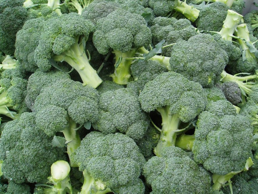 Tonus variation av broccoli