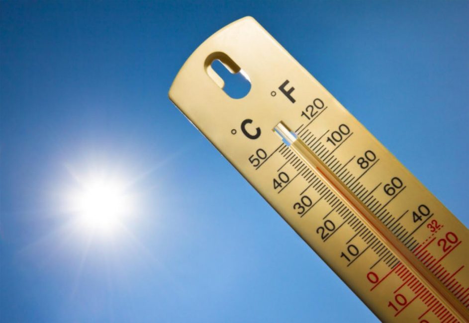 Vihreiden optimaalinen lämpötila +20 °C