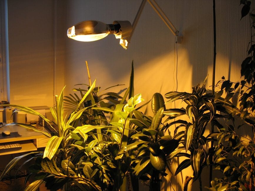 Un exemple d'il·luminació artificial