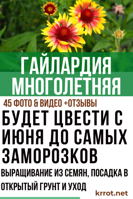 φύτευση και φροντίδα γκαγιάρντιων