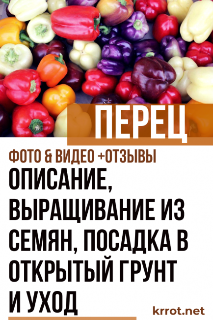 Pepř