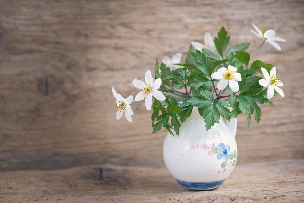 Florero con anémonas