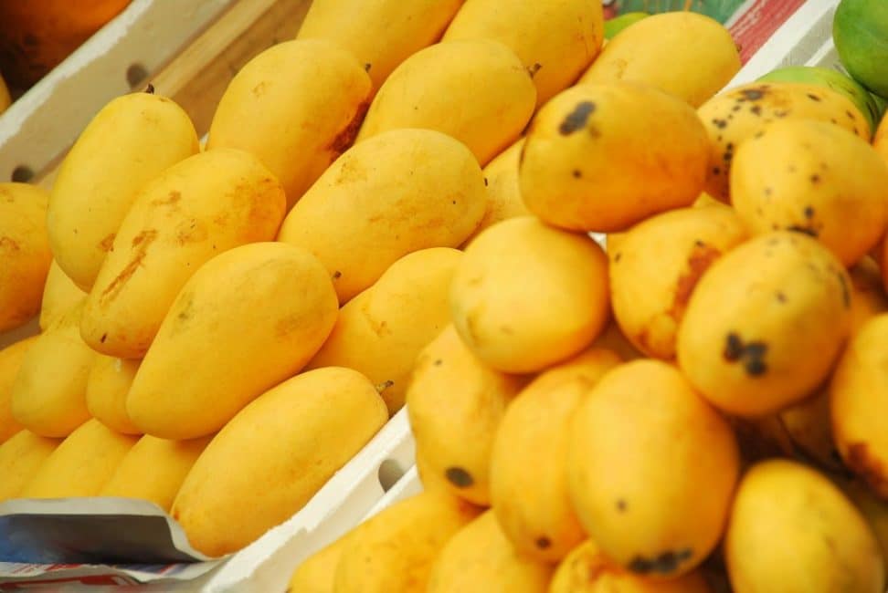 Fruits de mango madurs
