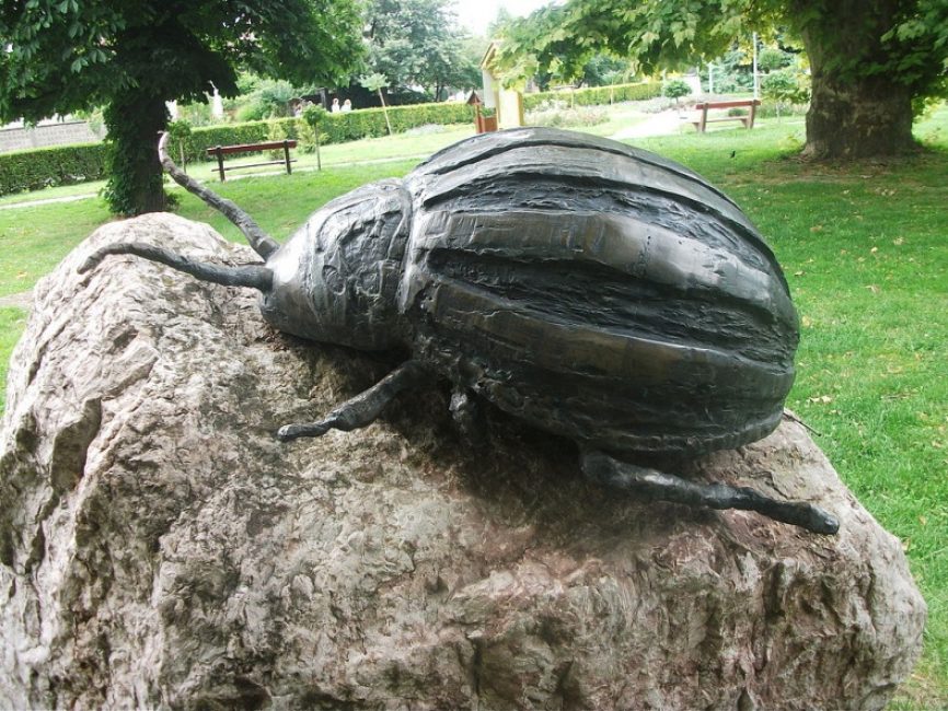 Monumento al escarabajo. De los agradecidos agricultores de Hungría en honor a los 50 años de su aparición en el país