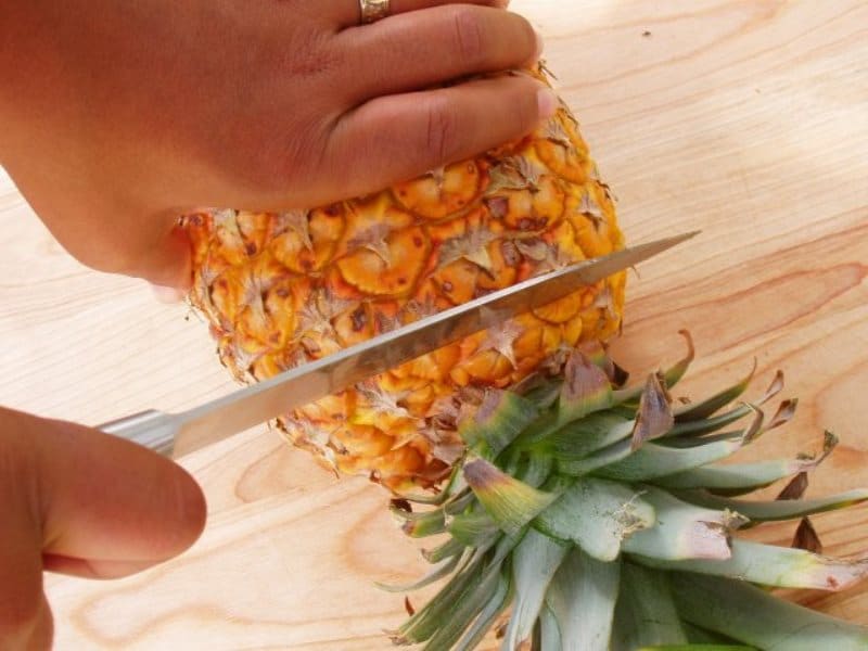 Tallar el con de creixement amb un ganivet