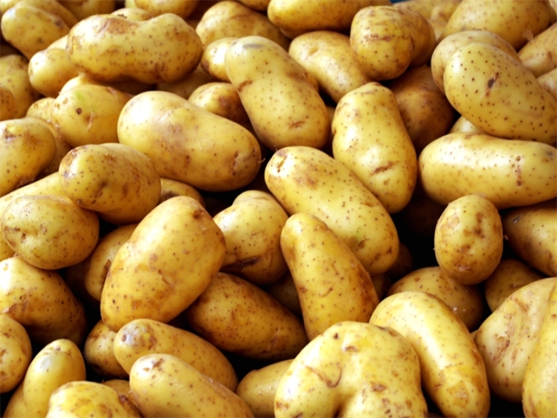 Perunalajike Farmer