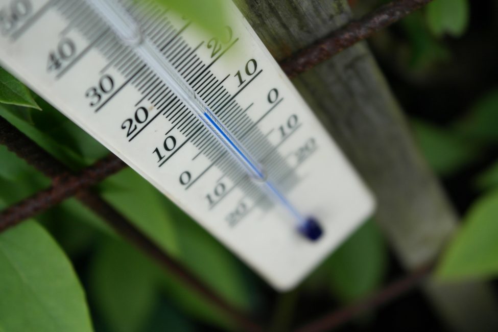 Régimen de temperatura