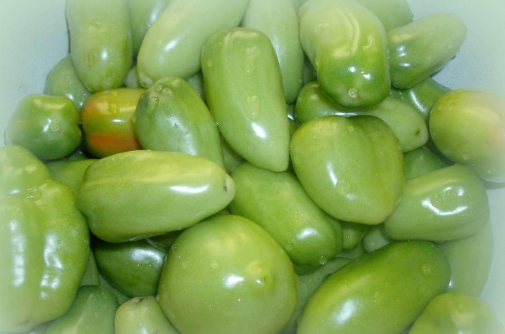 tomates verdes