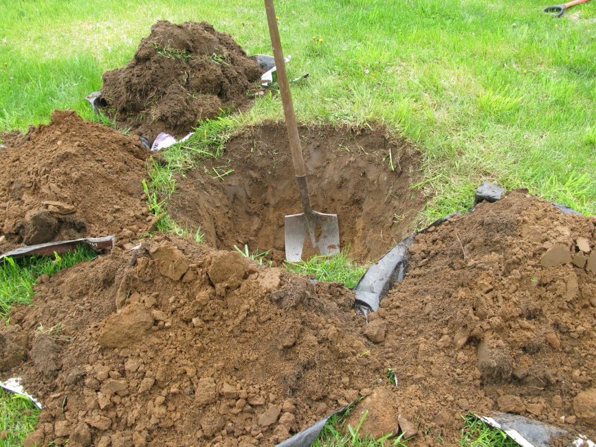 jáma pro výsadbu stromů