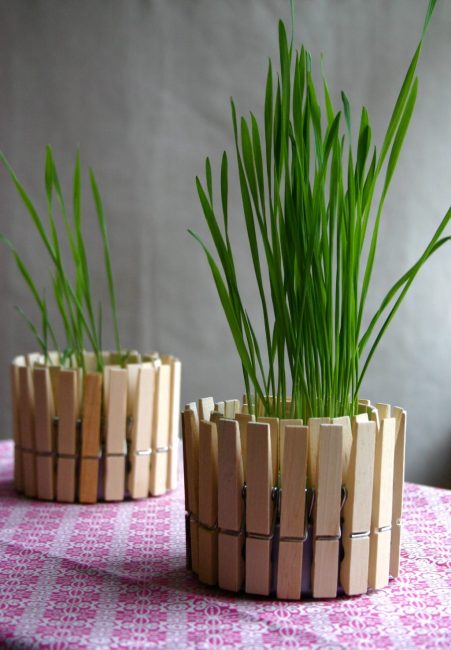 Decoración original de maceta con pinzas de madera