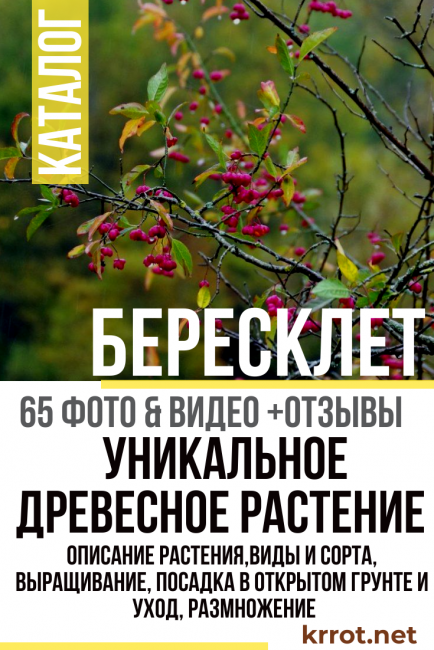 ευώνυμος περιγραφή