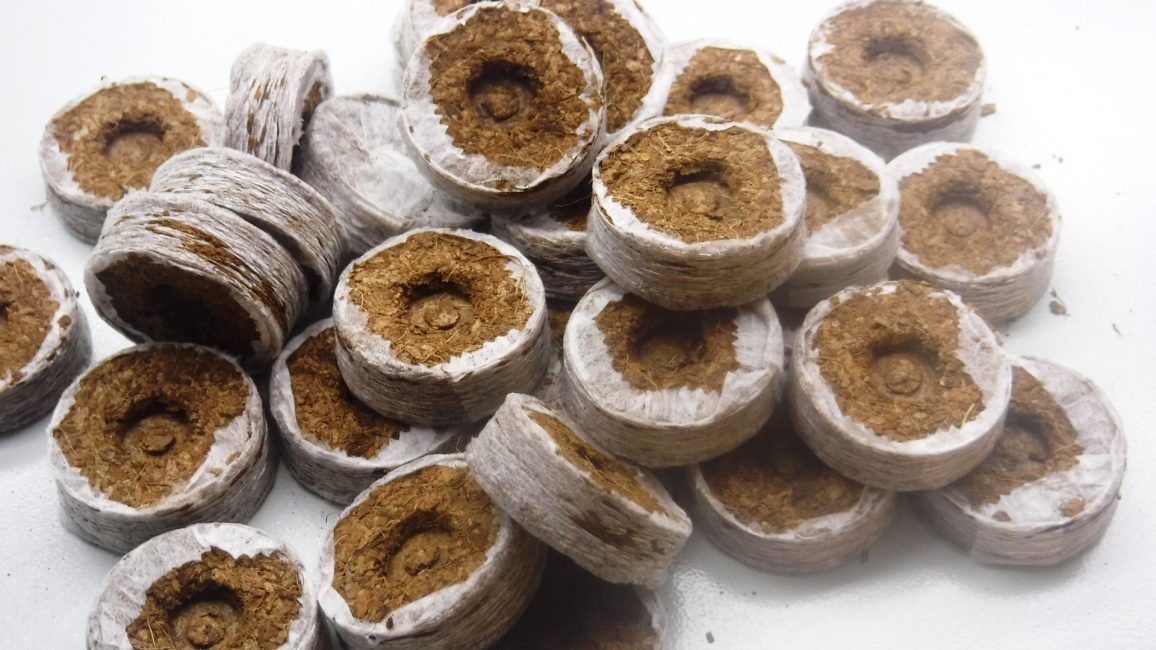 pastilles de coco