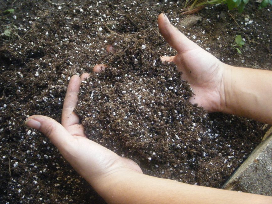 Fertilitzant del sòl