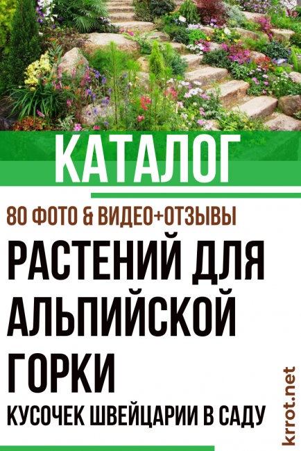 растения за алпийски хълмове