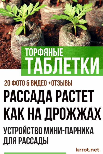Pastilles de torba