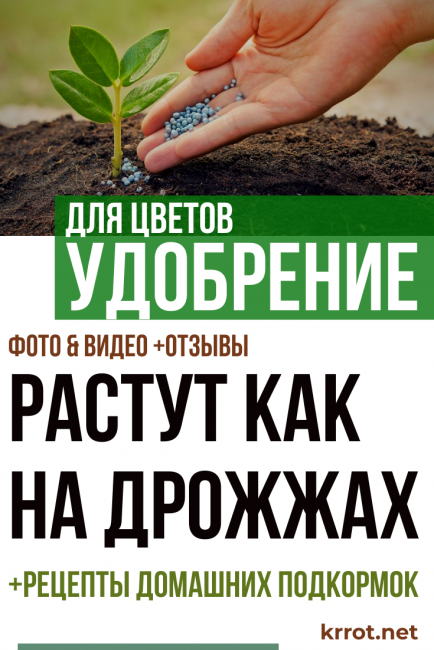 Hnojivo na květiny