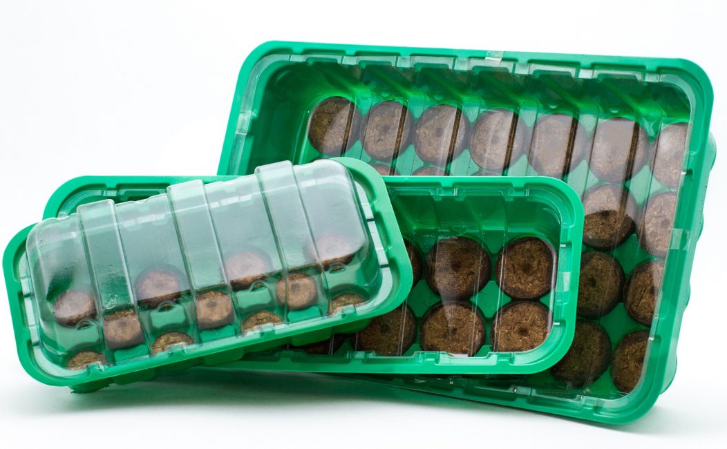 Gairebé sempre, les plàntules durant el cultiu requereixen condicions d'humitat i temperatura elevades, per tant, juntament amb les pastilles de torba, cal utilitzar un mini-hivernacle.