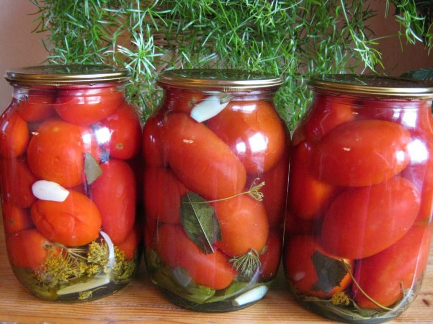 tomates enlatados