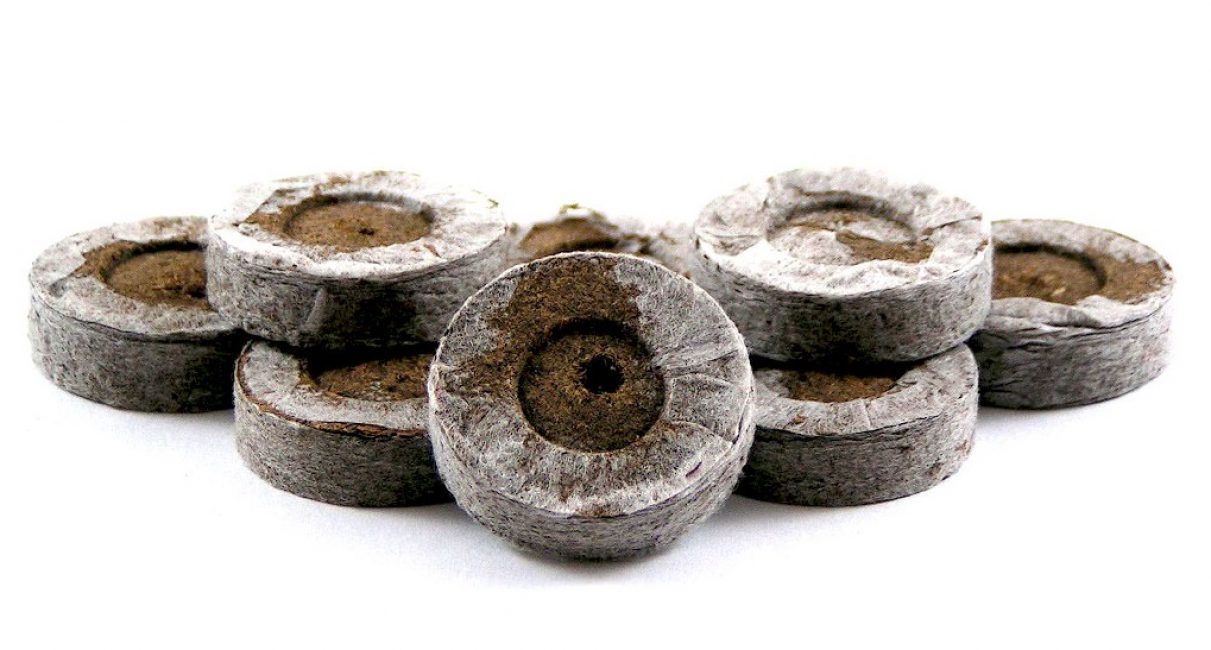 Pastilles de torba