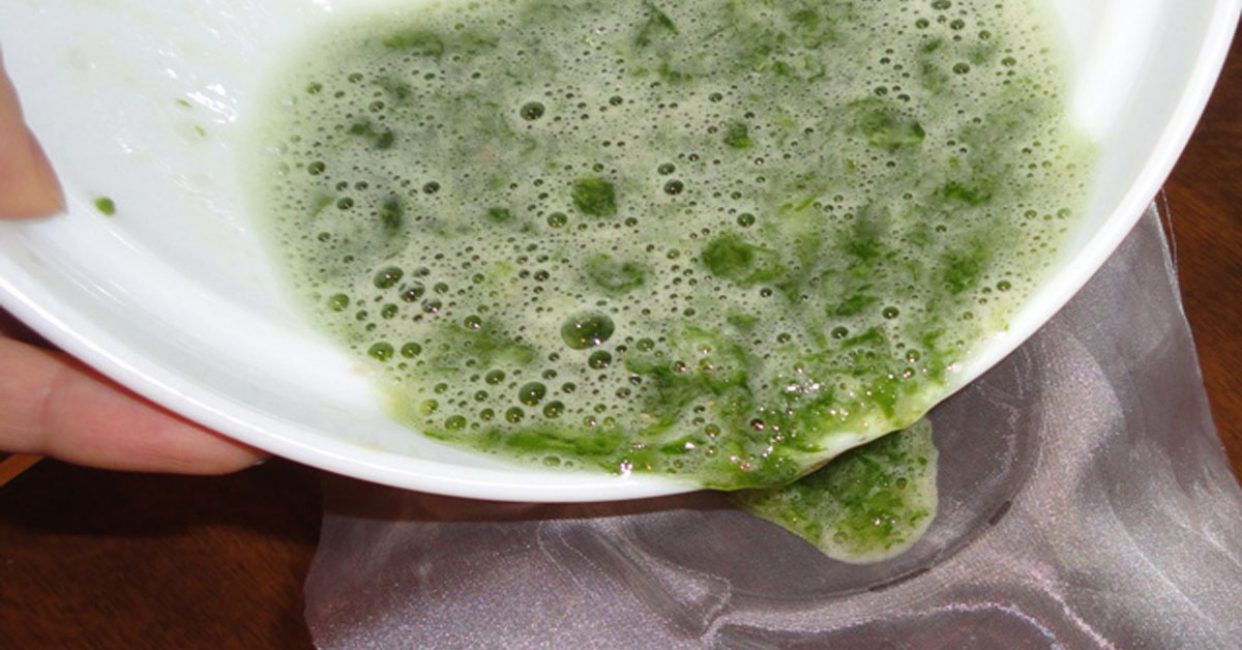 Jugo de hojas de coltsfoot
