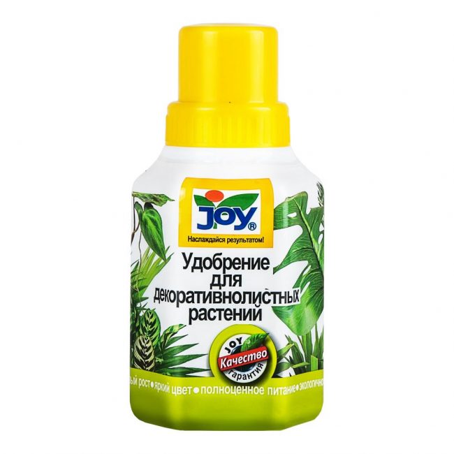 Forsythia responde bien a los fertilizantes
