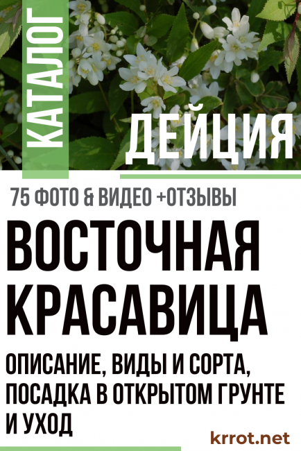 toiminta istutus ja hoito