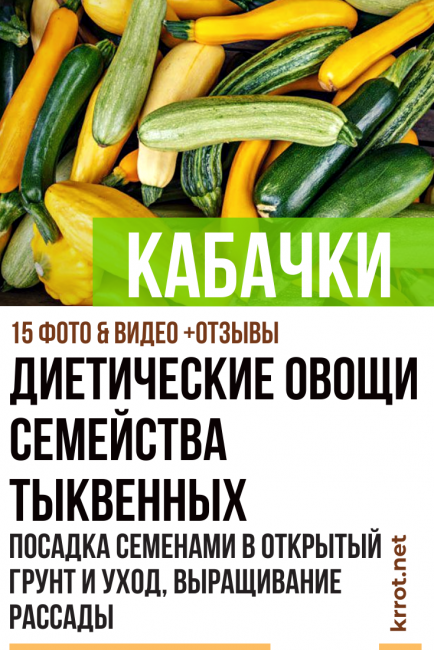 Cukkini
