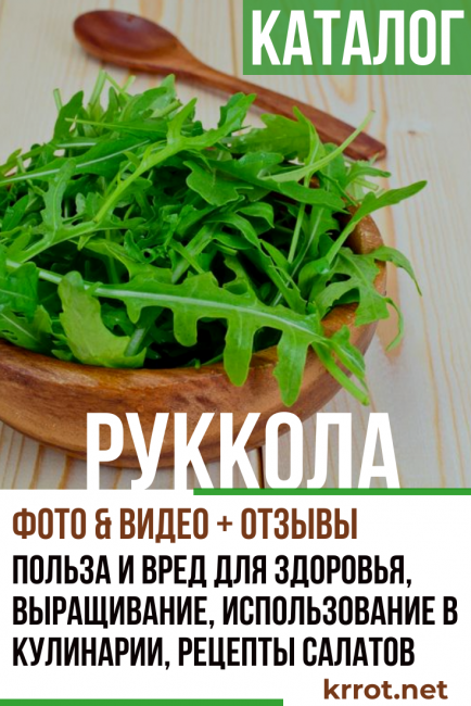 Rucola sen hyödyt ja haitat terveydelle