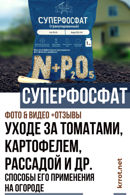 Szuperfoszfát