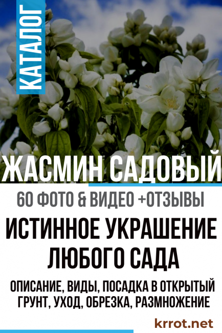 истинска украса на всяка градина