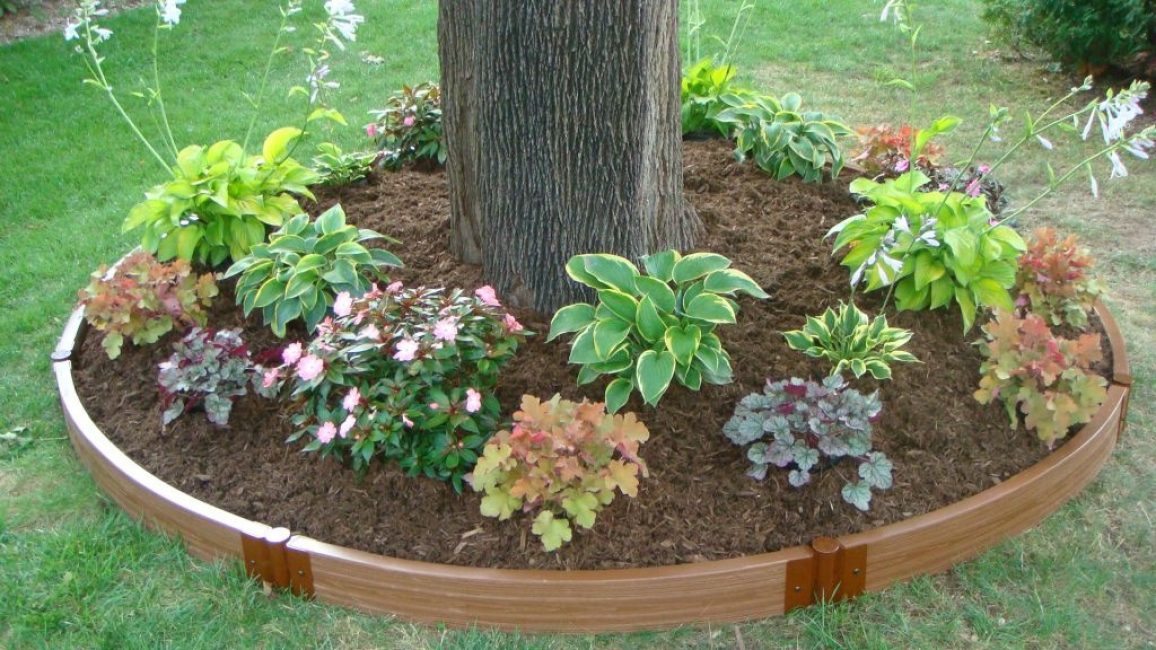 Un exemple de llit de flors sota un arbre