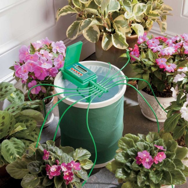 Regadera automática para plantas de interior