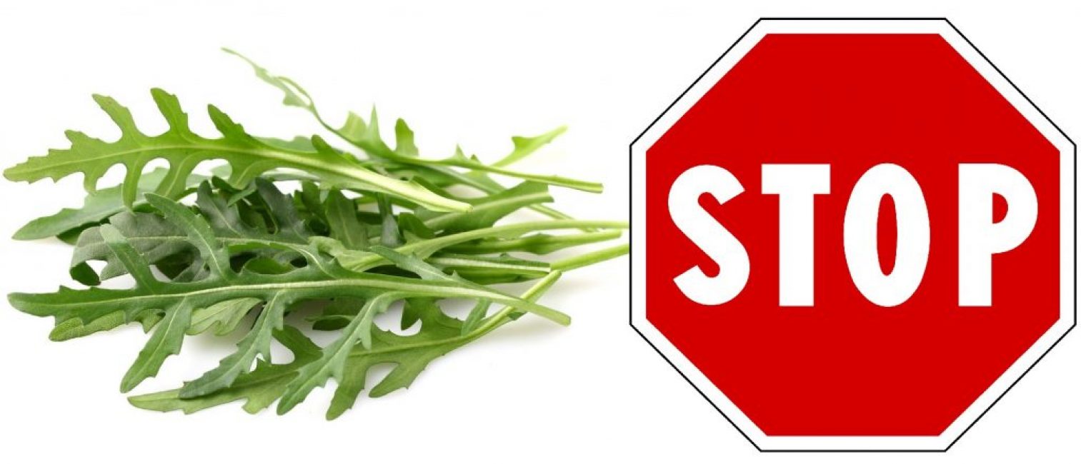 Rucola voi aiheuttaa allergioita