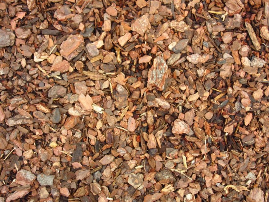 För mulchning av rhododendron är det bättre att använda fin bark.