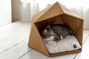Construimos una casa para un gato con nuestras propias manos. Ideas interesantes e instrucciones paso a paso: de madera contrachapada, cajas de cartón, tela. Dibujos dimensionales (más de 120 fotos y videos)