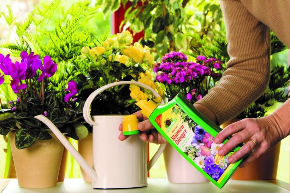 Cada planta té el seu propi fertilitzant
