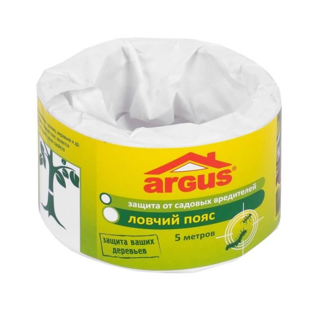 Cinturón de acechador Argus