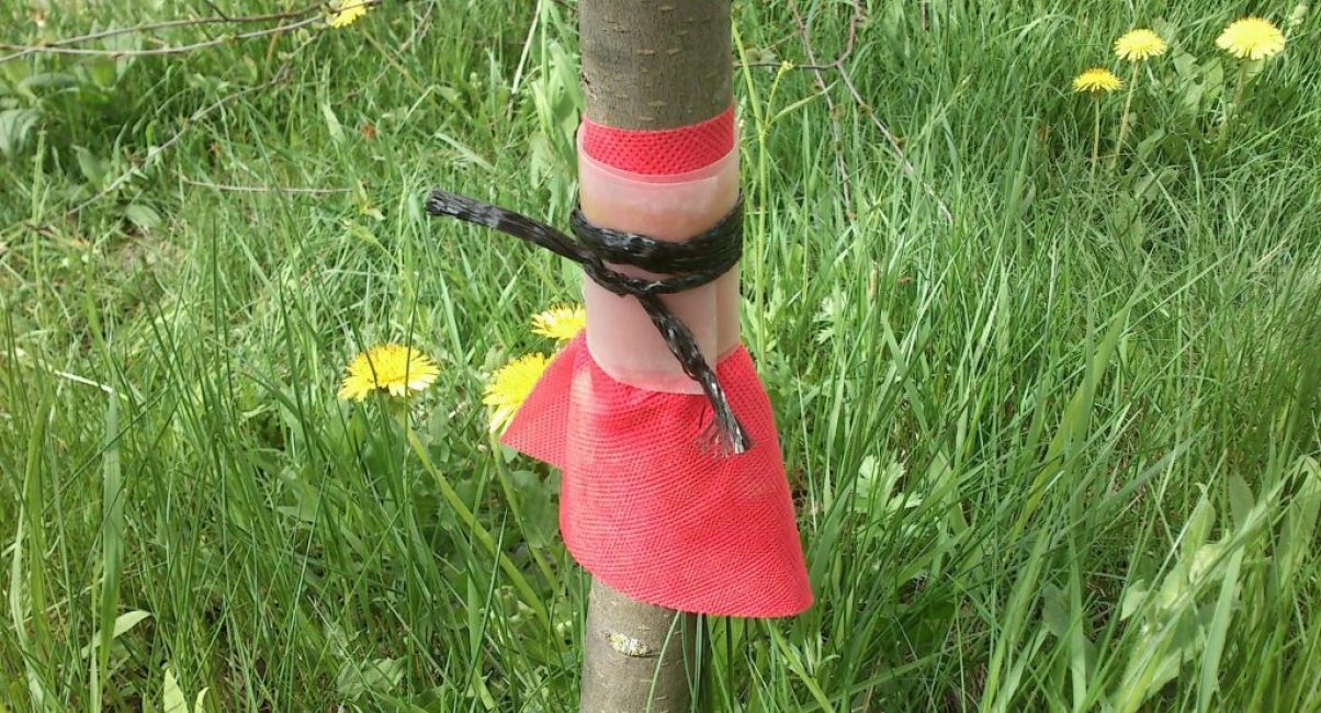 Cinturón de caza de árboles en forma de falda