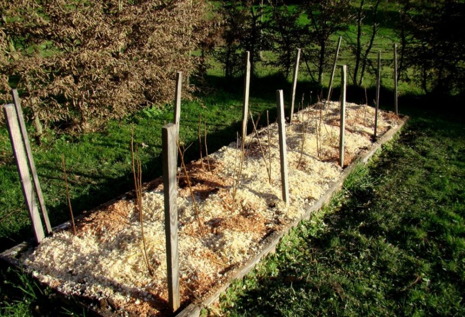 Silppuaminen sahanpurulla