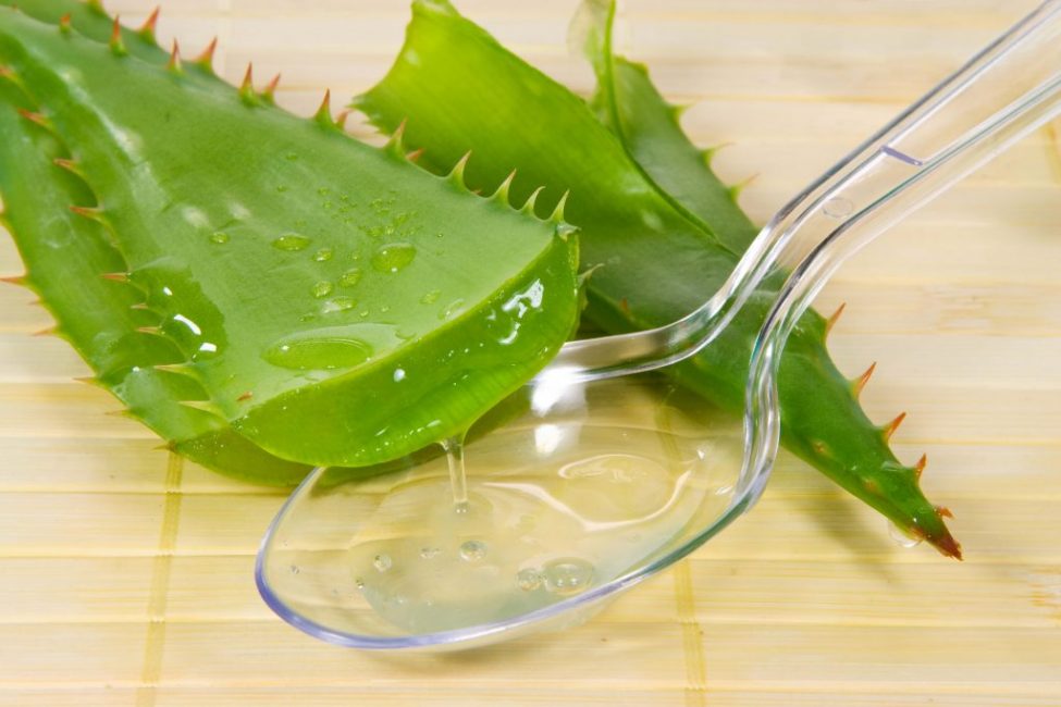 Tätä naamiota varten tarvitset aloe-massaa ja sitruunaa