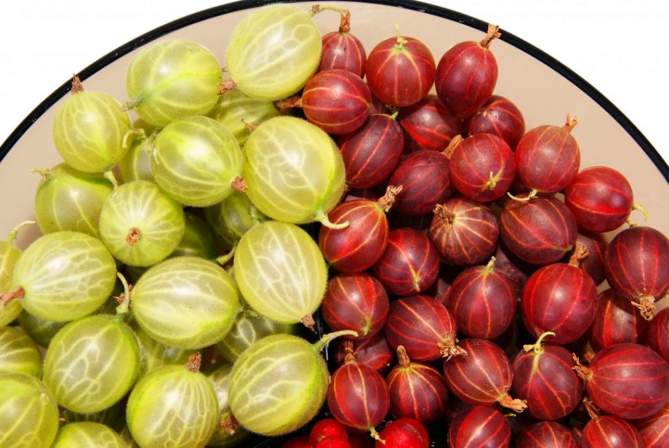 fruta de grosella