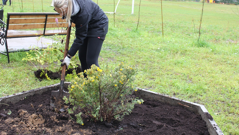 plantar una planta
