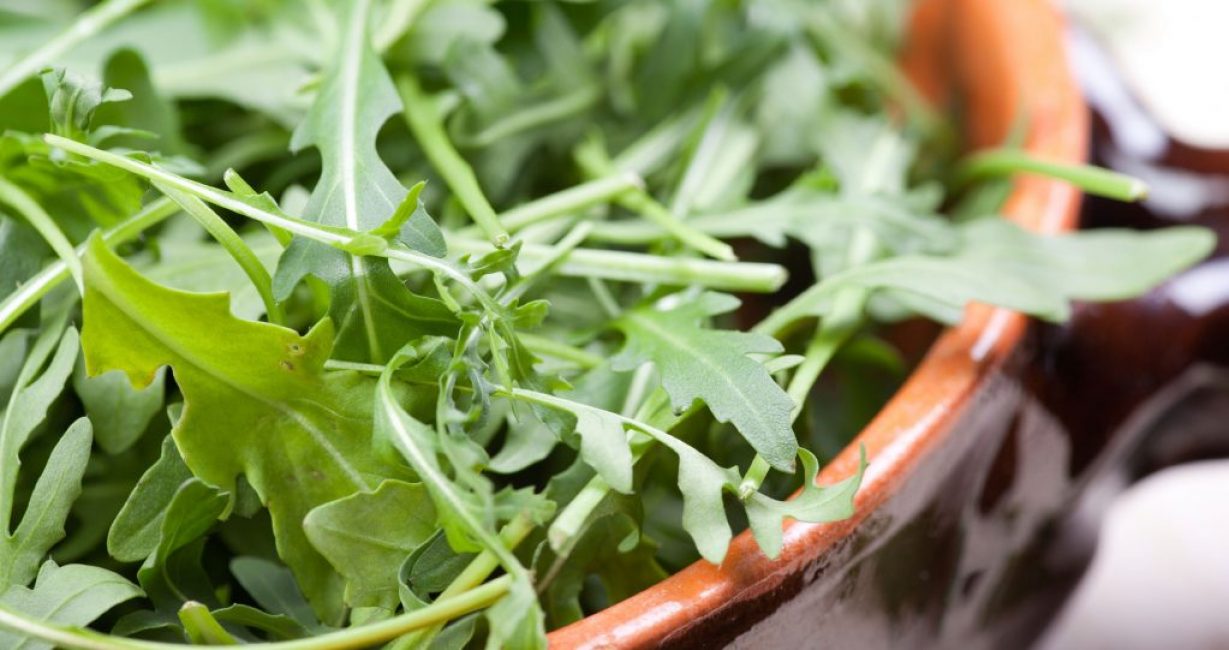 Rucola edistää terveyttä
