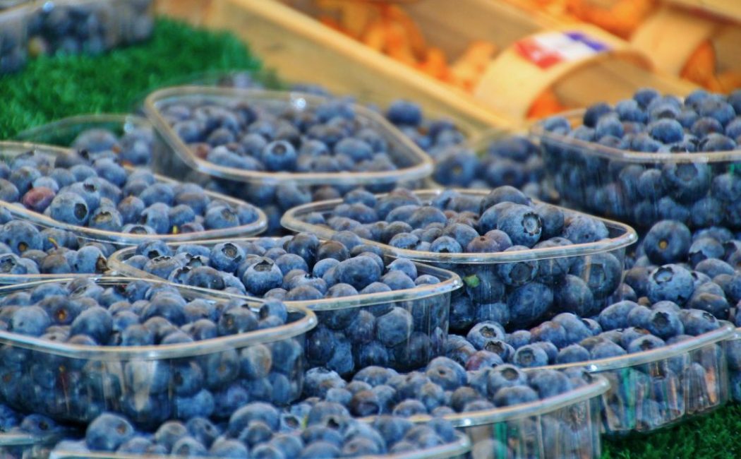 De un arbusto puedes obtener hasta 10 kilogramos de bayas.