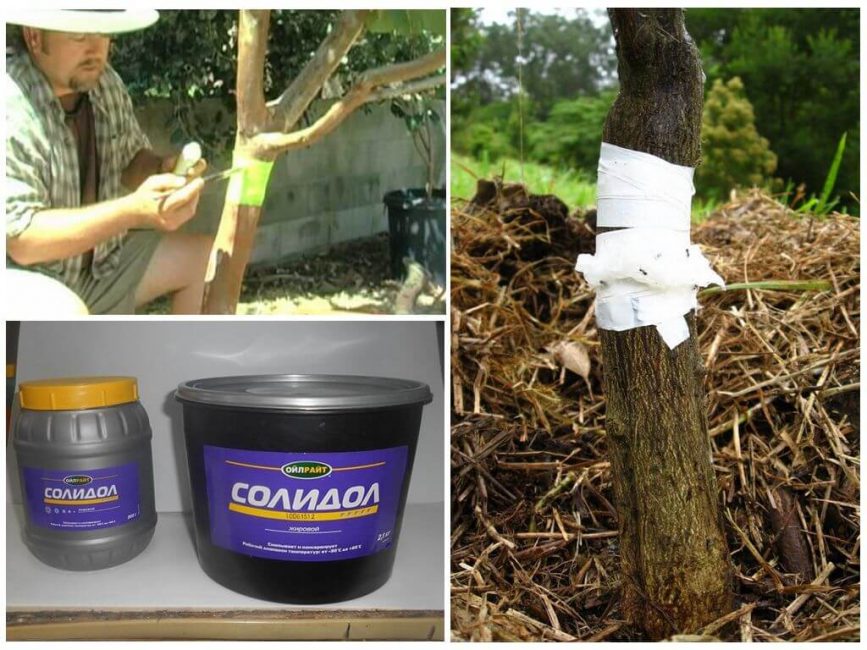 Método para instalar una correa de aceite sólida
