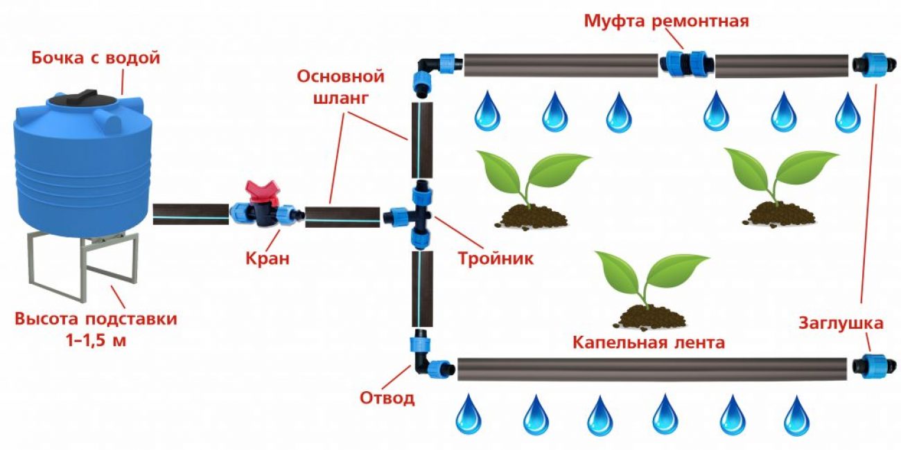 Diagrama de montaje