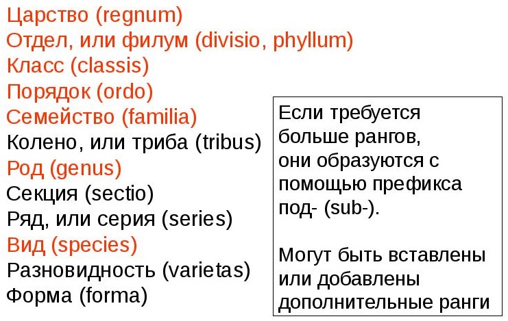 Τα Taxa και οι τάξεις τους