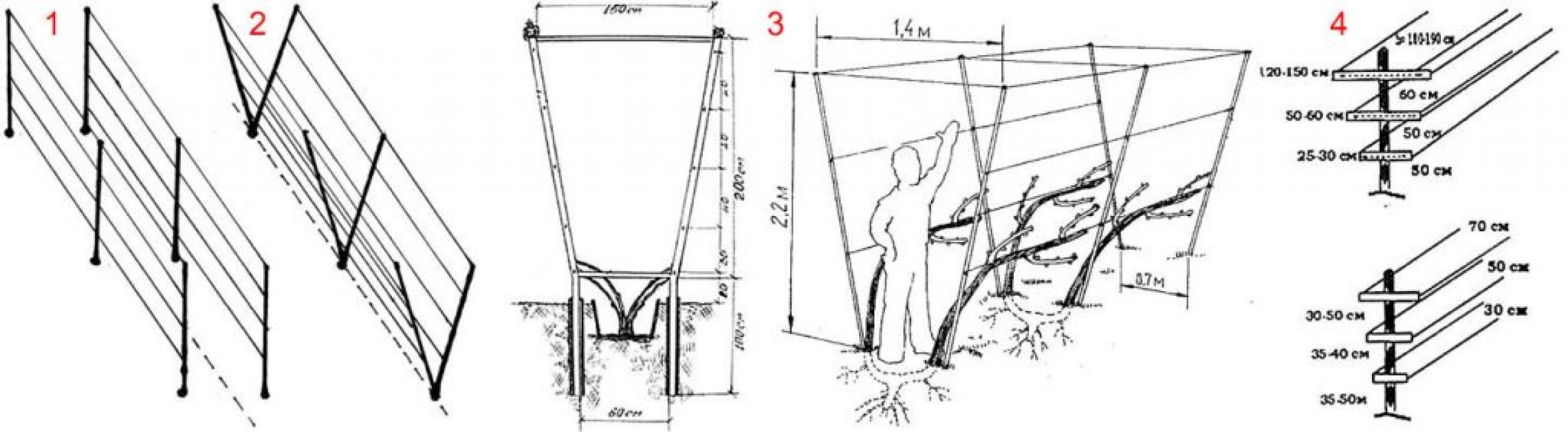 Dibujo de bricolaje de un enrejado de uva