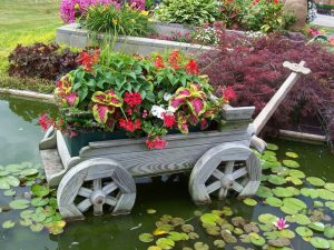 Macizos de flores y macizos de flores: descripción de variedades, ideas originales para crear a partir de materiales improvisados ​​(más de 70 fotos y videos) + Reseñas
