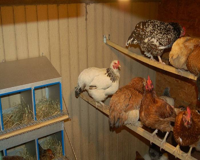 A sügérnek a lehető legkényelmesebbnek kell lennie